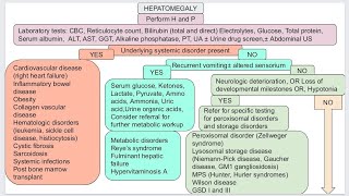 Hepatomegaly in pediatric [upl. by Atires932]