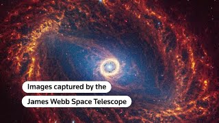 Webb telescope captures images of 19 spiral galaxies  REUTERS [upl. by Gredel]