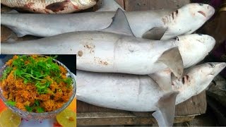 Village Style Cooking Of Shark Fish Belly Curry Recipe  How To Cook Tiger Shark Fry Indian Style [upl. by Lemahs390]