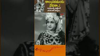 కాంచనమయ వేదికా Kanchanamaya Vedika Song  NTR Nartanasala Movie shorts Youtubeshorts [upl. by Jordans]