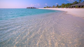 Maldives Hidden Island Retreat 🏝 Turquoise waters of the ocean 4K Ultra HD [upl. by Neesay]