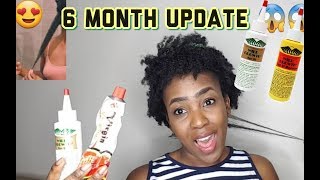 6 MONTH UPDATE WILD GROWTH HAIR OIL VS VIRGIN HAIR FERTILIZER [upl. by Ilwain]