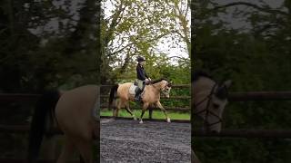 Jump saddle vs dressage saddle [upl. by Suolkcin]