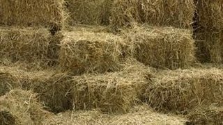 STRAW BALE BEDS [upl. by Asen811]