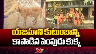 Wayanad Landslide  బురదలో కూరుకుపోయిన నలుగుర్ని కాపాడిన పెంపుడు కుక్క  NTV [upl. by Leba]