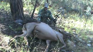 Armstrong 2012 archery Elk hunt [upl. by Arva]