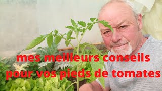 comment repiquer vos pieds de tomates [upl. by Dnamron]