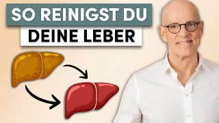 Leber heilen So reinigst du deine Leber effektiv [upl. by Sudnor]