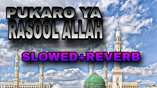 PUKARO YA RASOOL ALLAH SLOWEDREVERB 3D viralvideo trending shortvideoislmic [upl. by Anitnahs]