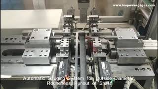 Shaft Automatic Gauging System [upl. by Osswald578]