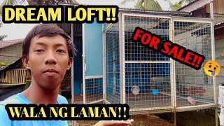 IBENTA KONA DREAM LOFT KO PIGEON LOFT FOR SALE😭 WALA NG LAMAN 😭 [upl. by Mandel]