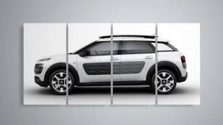 C4 Cactus pick your color [upl. by Englis]