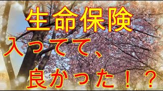 【生命保険…入っててよかった！？】年金生活で、満期返戻金の有難さを知る ＃アラカン還暦の生きがい探し [upl. by Adnahsed]