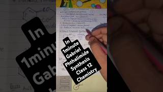 🔥Gabriel phthalimide synthesis amines class 12 chemistry class 12th chemistry GPS Method [upl. by Arval]