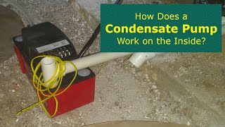 How Does a Condensate Pump Work on the Inside [upl. by Grory]