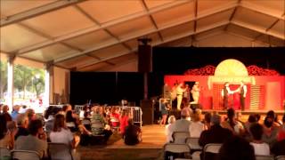 Hungarian Riot  At the Smithsonian Folklife Festival  Washington DC  6272013 [upl. by Shulem812]