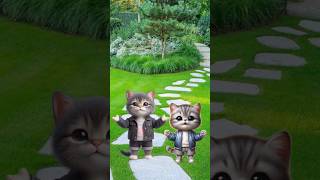 cute kitten eating a whiskas cat trendingshorts cutecat [upl. by Lucina]