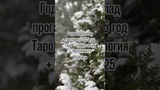 ПРОГНОЗ НА ЗИМУ ЧТО ЖДЕТ ЗИМОЙ Анонс таро будущее прогноз гадание тарогадание раскладтаро [upl. by Asseram]