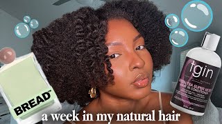 Natural Curly Hair Routines  Hair Growth Tips Wash Day  Type 4 Natural Hair  Kensthetic [upl. by Ayidan]