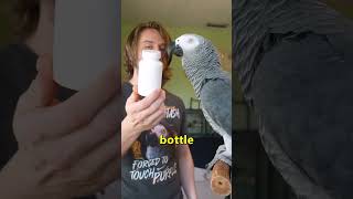 This Parrot Knows his BWords 😳 [upl. by Adnov490]