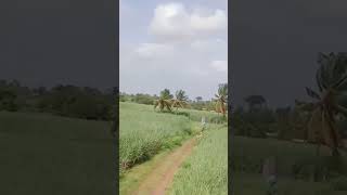 nisarg raja aik sangato  beautiful nature  farm  farmer [upl. by Assirk]