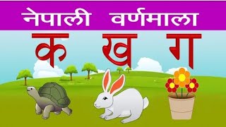 क ख ग घ  नेपाली गीत  Ka Kha Ga Gha Song  नेपाली वर्णमाला  Education Store [upl. by Anniram76]