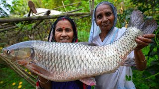 পুকুর থেকে 46kg ওজনের মাছ ধরে রান্না  46kg fish catch and cook in village style  villfood [upl. by Idnib]