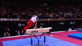 Danell Leyva  Pommel Horse  2012 ATampT American Cup [upl. by Adnohsak43]