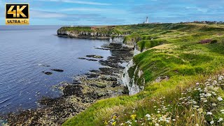 Beautiful Yorkshire Coastal Path and Hidden Gem Beaches  FLAMBOROUGH HEAD ENGLAND [upl. by Ennovyhs626]