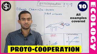 lect10what is ProtocooperationProtocooperation exampleBiology class 12 by Vishal vatsBoardNeet [upl. by Sacttler]