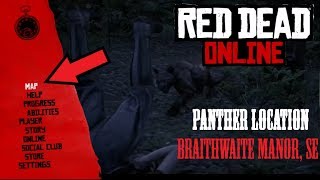 RDR2 Online  Panther Location  Braithwaite Manor SE [upl. by Aseuqram678]