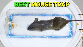 Best MouseRat Trap Bucket  Mouse in Trap  Mice TrapsMouse Trap Near Me  Mouse Catcher [upl. by Kiran]