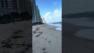 Haulover beach in Miami [upl. by Joeann898]