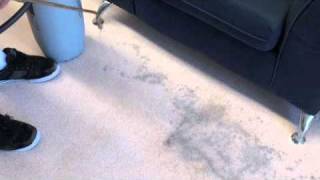 Carpet Cleaners  Drymaster Carpet Cleaning [upl. by Trab678]