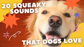 20 Squeaky Sounds that Dogs Love [upl. by Dnaloy]