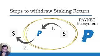 Too good to be true An expert check on PAYNETs impressive 310 payback crypto staking structure [upl. by Aisiram374]