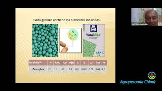 BENEFICIOS YARA MILA COMPLEX [upl. by Alejna]