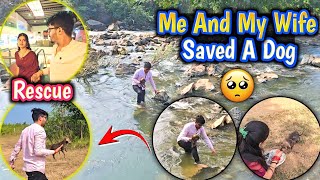 My Wife Saved A Dog Life 🥺 She Win My Heart  Fauji Cj Gaming Vlog [upl. by Corsiglia810]