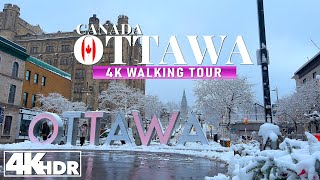 Ottawa Canada 🇨🇦 Winter Walk Feb 2024 Around Downtown in 4K UHD HDR 60 fps [upl. by Idak965]