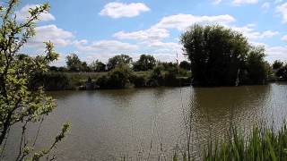 PAWLETT PONDS PAWLETT BRIDGWATER SOMERSET [upl. by Lattie]