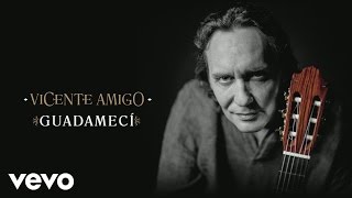 Vicente Amigo  Guadamecí Audio [upl. by Rancell]