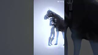 Horse edit horse equestrian horseedits edit [upl. by Oicneconi419]