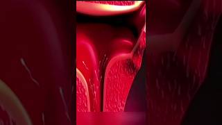 Fertilization 3D animation  The first race of life newlife embryology shorts3danimation [upl. by Salbu]