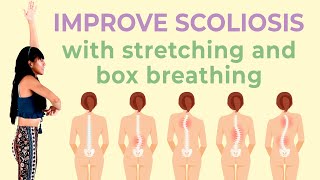 10 Min Easy Standing Stretches for Scoliosis ♥ Daily Exercise Upper Body [upl. by Nica]