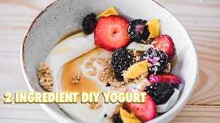 How To Make Your Own Yogurt With 2 Ingredients [upl. by Jaime]