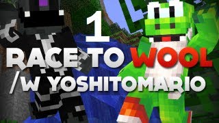 Race To Wool  Part 12  w YoshiToMario [upl. by Qifahs505]