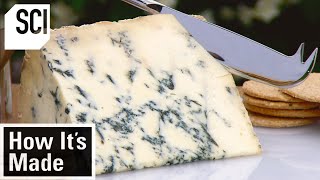 How Its Made Blue Stilton Cheese [upl. by Glynas789]