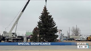 Annual Williston City Christmas tree holds significance for harvesters [upl. by Leigh]