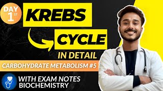 kreb cycle biochemistry  citric acid cycle biochemistry cycle carbohydrate metabolism biochemistry [upl. by Caldwell]