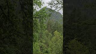 Fantastic view Golden Ears area British Columbia youtubeshorts shortsviral [upl. by Volny]